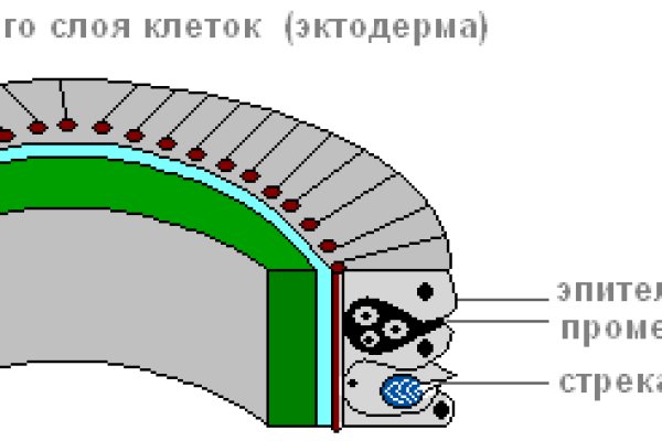 Новая ссылка blacksprut 1blacksprut me