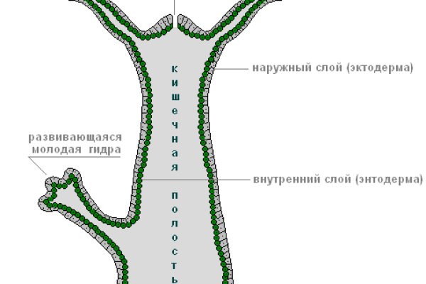 Тор браузер blacksprut